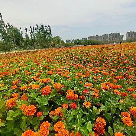 Primus Hotel Иньчуань Экстерьер фото